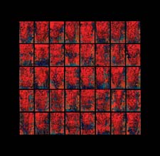 CC  rouge sur bleu sur orange 2005